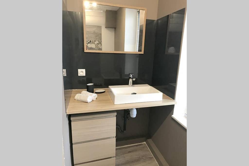 Annonay Centre, Grand Appartement Cosy, 3 Chambres المظهر الخارجي الصورة