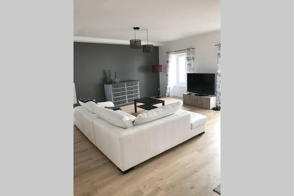 Annonay Centre, Grand Appartement Cosy, 3 Chambres المظهر الخارجي الصورة