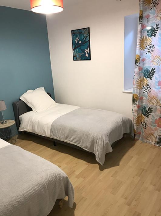 Annonay Centre, Grand Appartement Cosy, 3 Chambres المظهر الخارجي الصورة